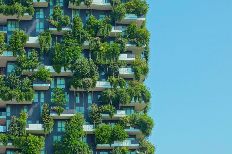 The Evolution of the Sustainable Real Estate Market: Trends and Challenges in Eco-Friendly Construction