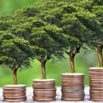 From Savings to Success: How Finance Fuels Investment Growth