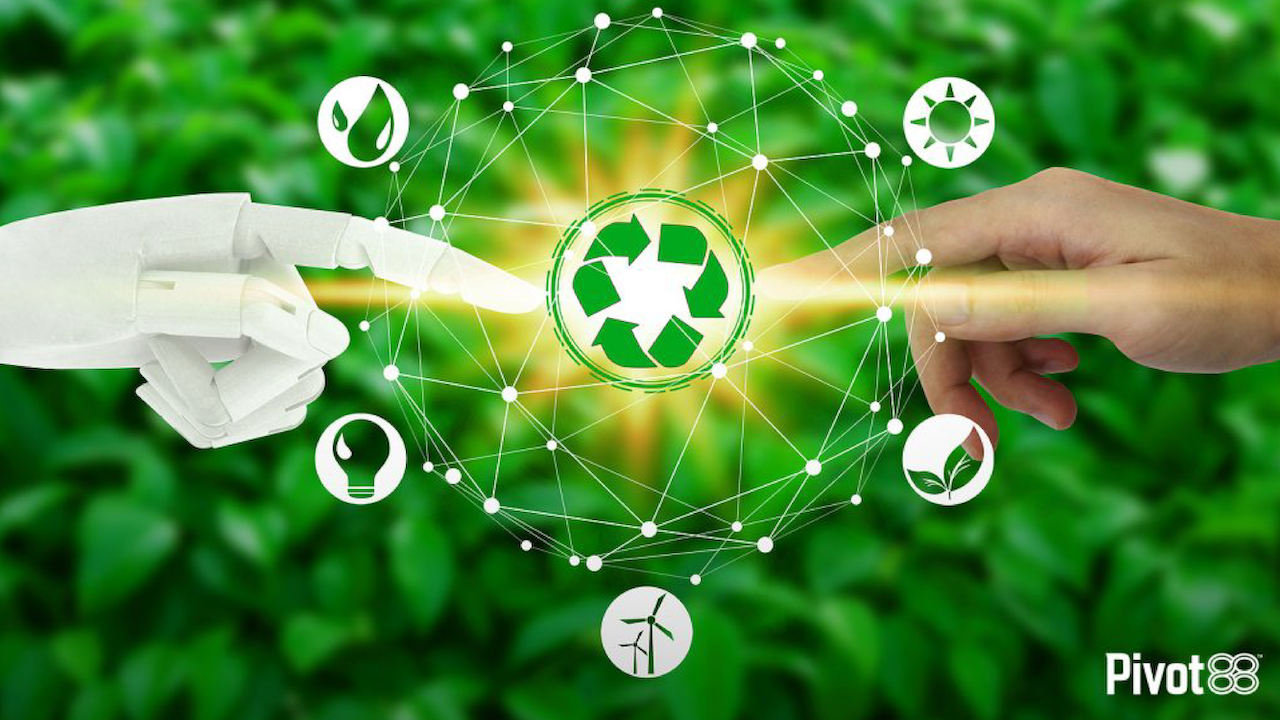 Sustainability and Ethical Consumption: The growing importance of eco-friendly products and socially responsible companies